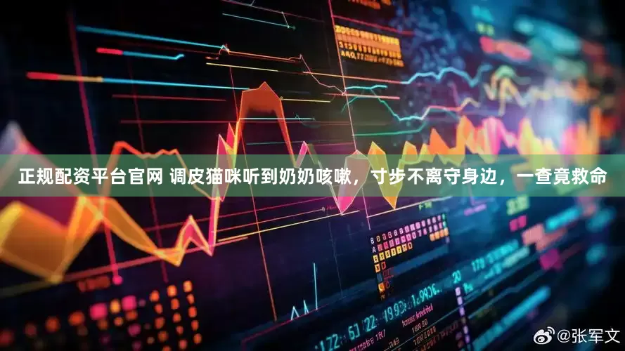 正规配资平台官网 调皮猫咪听到奶奶咳嗽，寸步不离守身边，一查竟救命