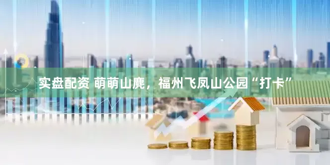 实盘配资 萌萌山麂，福州飞凤山公园“打卡”
