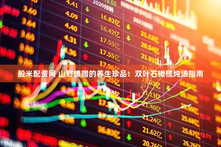 股米配资网 山野馈赠的养生珍品：双叶石橄榄炖汤指南